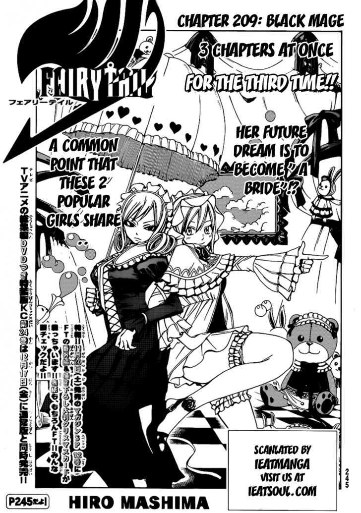 Fairy Tail 209