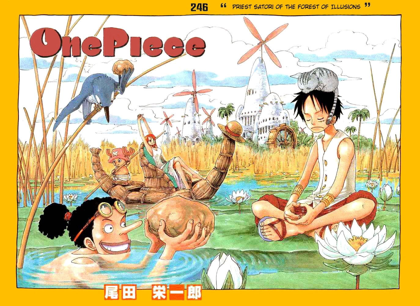 One Piece 246