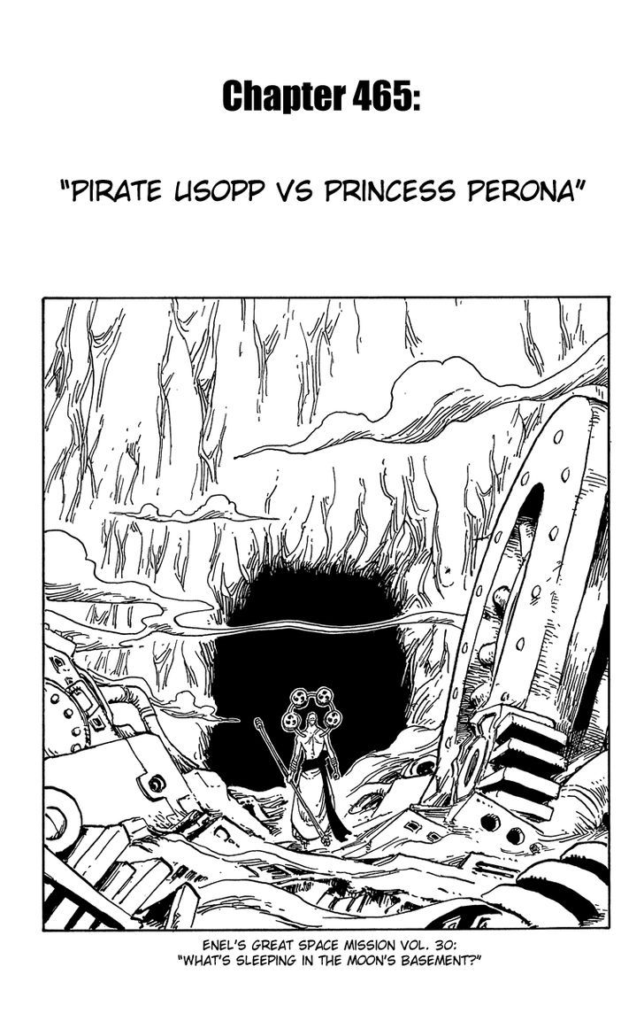 One Piece 465