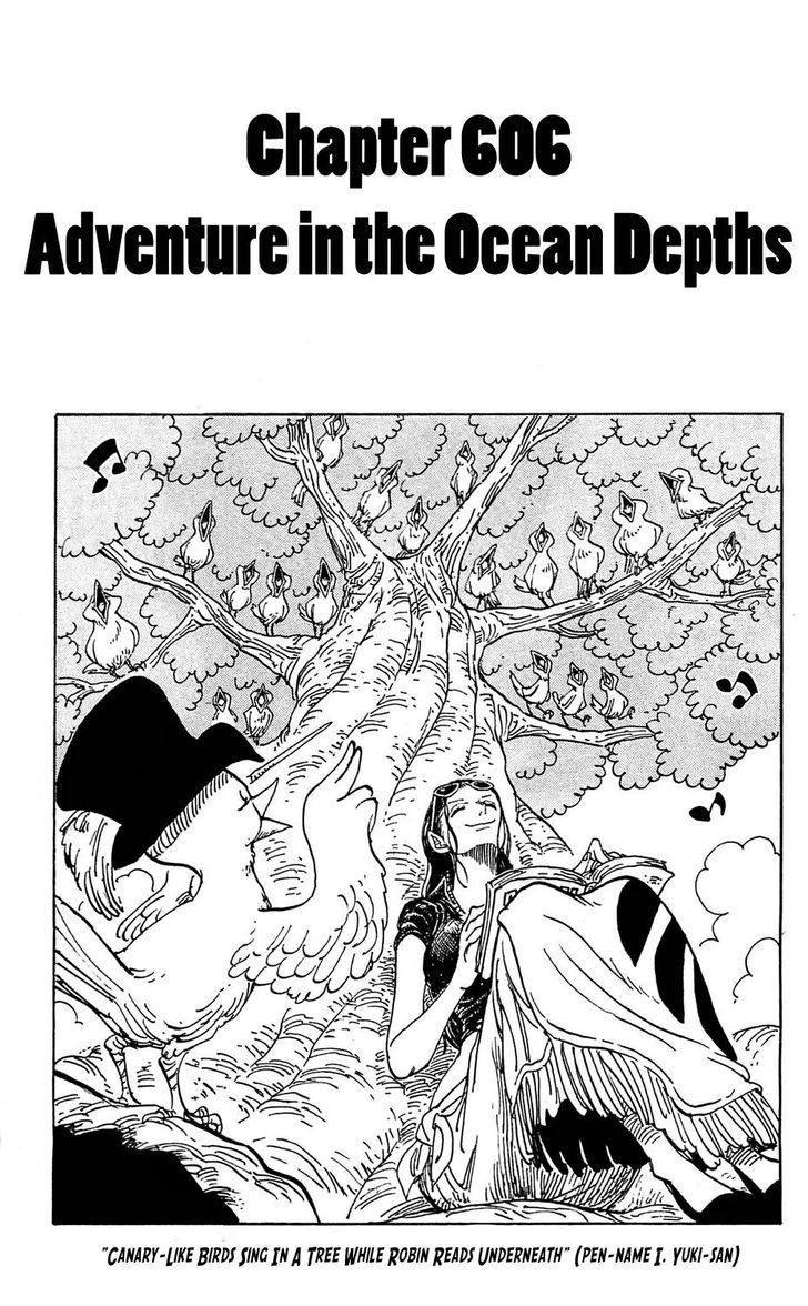 One Piece 606